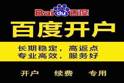 百度SEM竞价推广，案例解析转化率提升秘诀